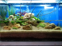 /album/paludarios/paludario-1-jpg/